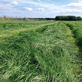 HM.26 Conqueror Long Term Grass Seed Mix (Acre Pack), image 