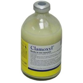 Clamoxyl RTU Injection 100ml, image 