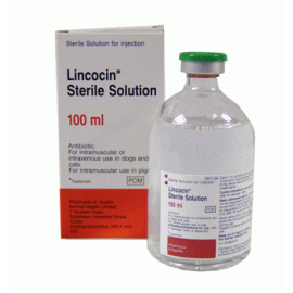 Lincocin Sterile Solution 100ml, image 