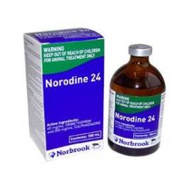Norodine 24 Injection 100ml, image 