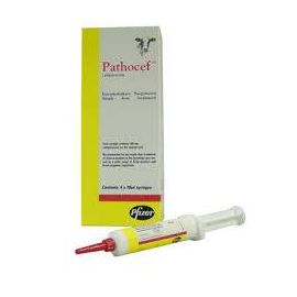 Pathocef 4 Pack, image 