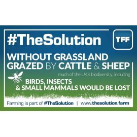 Without grassland grazed by Cattle and Sheep - Graphic 1 - 960mm x 600 mm Outdoor Banner, image 