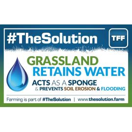 Grassland Retains Water and Acts as a Sponge - Graphic 9 - 960mm x 600 mm Outdoor Banner, image 