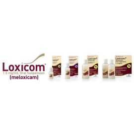 Loxicom Oral Suspension for dogs 100ml, image 