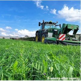 HM.9 Forage Express Grass Seed Mix (Acre Pack), image 