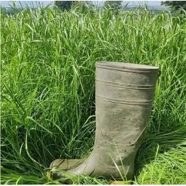 HM.19 Hurrells Overseeder Grass Seed Mix (Acre Pack), image 