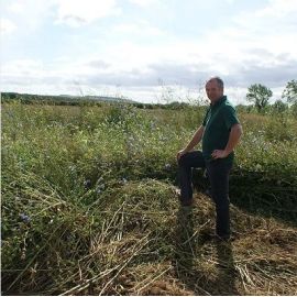 Cottondale Seed Mix (20kg per acre), image 