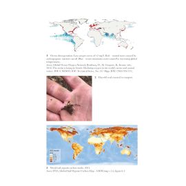Intelligent Farming: Regenerative Change, How To and Why You Should, image 