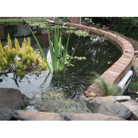 5 Extra Long Over Hanging Pond or Fence Arms - 80cm, image 
