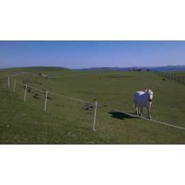 2 Line Strip Grazing Kit for Horses with Tall, image 
