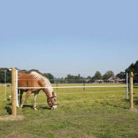 Electrified steel gate 2,5 up to 4,5m, image 