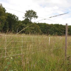 EuroNetz Wild boar netting, White 75/1-14/W-50m, image 