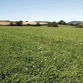 HM.14C Hybrid Power + Clover Grass Seed Mix (Acre Pack), image 