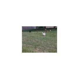 100m Mains Powered Standard Poultry Kit, image 