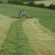 HM.37 Platinum Long Term Grass Seed Mix (Acre Pack), image 