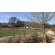 Foundations of Holistic Management, 3-Day, Pe, image 
