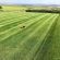 HM.4 General Amenity / Heavy Duty Grass Seed Mix (HM4), image 