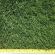 HM All American Dark Green Lawn Grass Seed Mix, image 