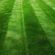 HM All American Dark Green Lawn Grass Seed Mix, image 