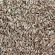 Fennel Seed (Foeniculum vulgare) (4kg per acre), image 