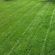 HM Stress Buster Grass Seed Mix (Ideal for Clay Soils, Drought & Wet Areas), image 