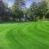 HM.3 Hard Wearing Lawn Grass Seed Mix (HM3) - 20kg, image 