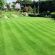 HM.3 Hard Wearing Lawn Grass Seed Mix (HM3) - 20kg, image 