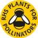 P8 Flowering Lawn Wildflower & Grass Seed Mix 80:20, image 
