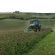 HM.16 Medium Term Hi Pro Red Grass Seed Mix (Acre Pack), image 