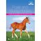 Foals and Young Horses: Training and Management for a Well-behaved Horse, image 