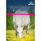 Natural Medicine for Horses: Home Remedies and Natural Healing, image 