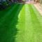 HM. Four Seasons Grass Seed Mix (Cold Growing Lawn Seed), image 