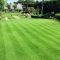 HM.3 Hard Wearing Lawn Grass Seed Mix (HM3) - 20kg, image 