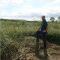 Cottondale Seed Mix (20kg per acre), image 