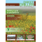 Back Issue - Direct Driller Magazine 31, image 