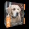 Sport Dog - Nobark 8 Collar, image 