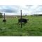 Pig Kit 3 Line - Battery Operated (160m Max), image 