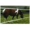 2 Line Premium Battery Strip Grazing Kit - 20, image 