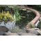 30m Battery Powered Garden & Pond Protection, image 