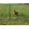 25m Battery Powered Professional Poultry Nett, image 