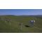 2 Line Strip Grazing Kit for Horses with Tall, image 