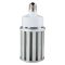 LED Corn Lamp 100W - E40, image 